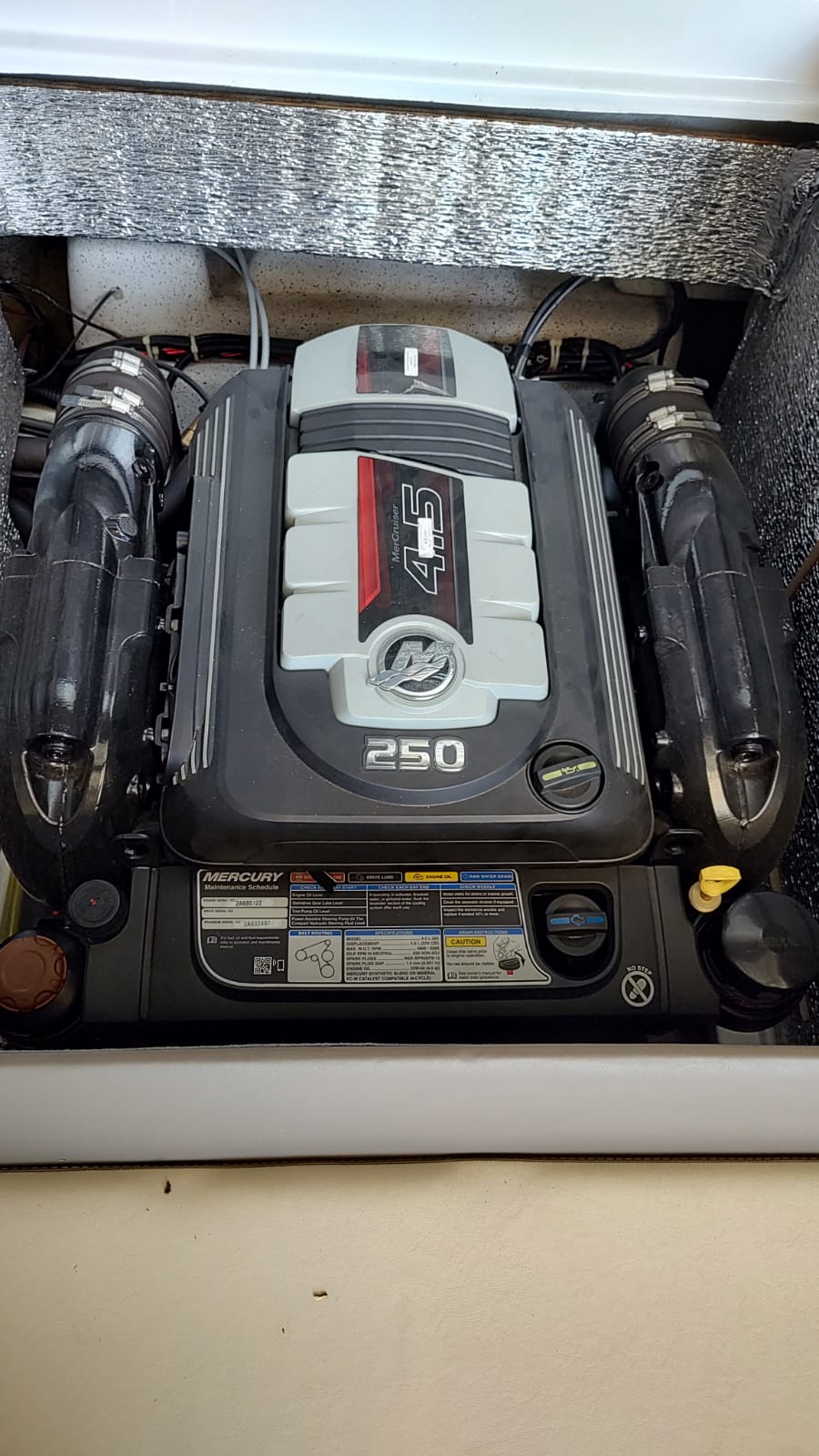 Extreme Open 2021 Mercruiser 250 hp 